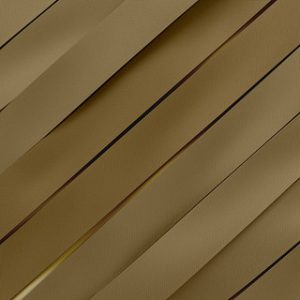 MEDAL RIBBON GOLD
