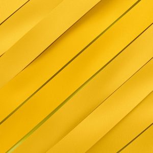 MEDAL RIBBON YELLOW