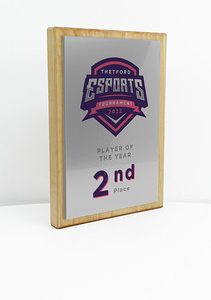 Fusion Award Large - Maple with Metallic Silver Trim