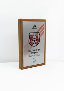 Fusion Award Small - Beech with Metallic Silver Trim