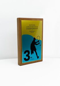 Fusion Award Small - Beech with MetallicGold Trim