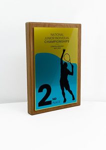 Fusion Award Medium - Beech with MetallicGold Trim