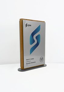 Atom Award Small - Metallic Silver