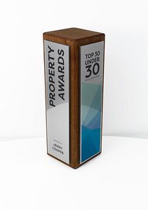 Fusion Tower Award - Sapele with Metallic Silver Trim