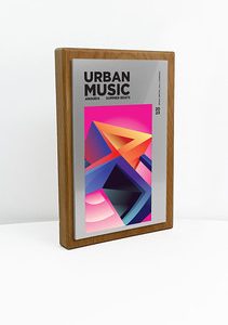 Fusion Award Medium -  Beech with Metallic Silver Trim