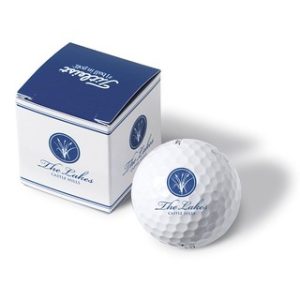TITLEIST PRO V1 GOLF BALL IN A 1 BALL PRINTED SLEEVE